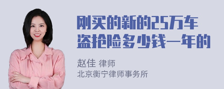 刚买的新的25万车盗抢险多少钱一年的