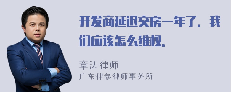 开发商延迟交房一年了．我们应该怎么维权．