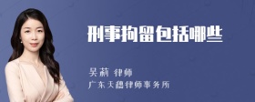 刑事拘留包括哪些