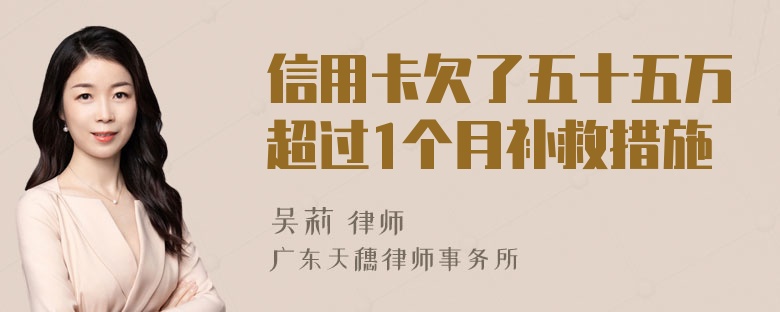 信用卡欠了五十五万超过1个月补救措施