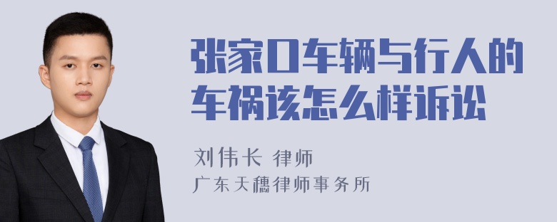 张家口车辆与行人的车祸该怎么样诉讼