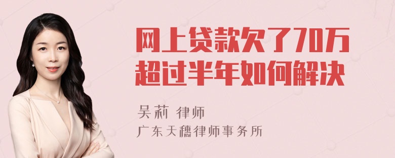 网上贷款欠了70万超过半年如何解决