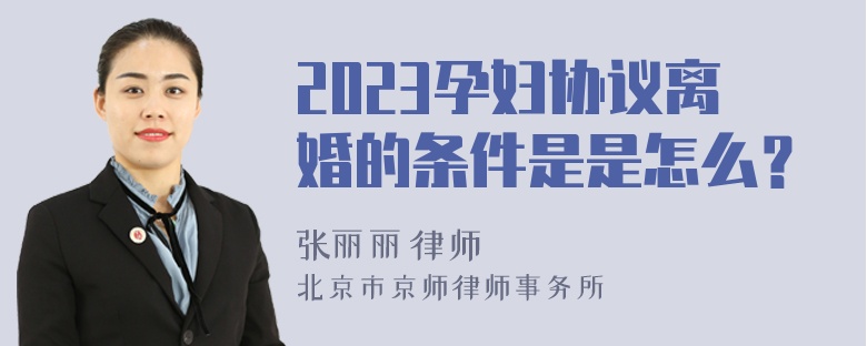 2023孕妇协议离婚的条件是是怎么？