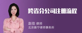 跨省分公司注册流程