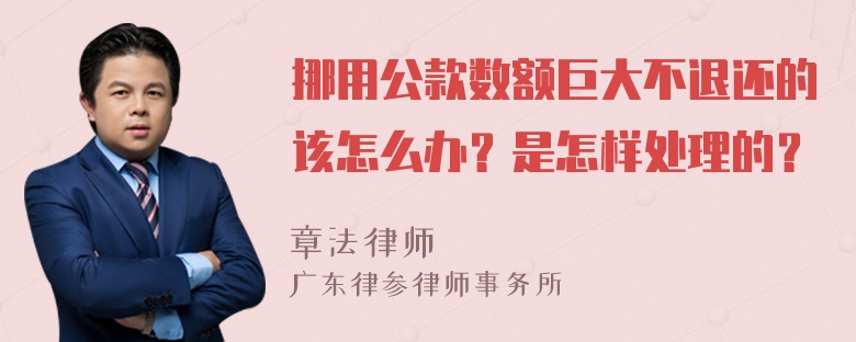 挪用公款数额巨大不退还的该怎么办？是怎样处理的？