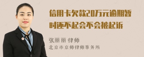信用卡欠款20万元逾期暂时还不起会不会被起诉