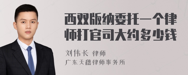 西双版纳委托一个律师打官司大约多少钱