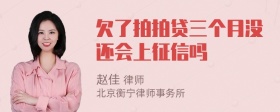 欠了拍拍贷三个月没还会上征信吗