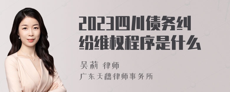 2023四川债务纠纷维权程序是什么