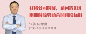 我被公司解雇，请问吉X试用期解除劳动合同赔偿标准