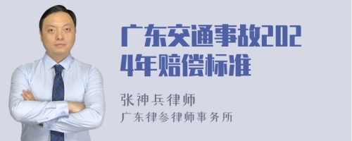 广东交通事故2024年赔偿标准