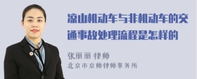 凉山机动车与非机动车的交通事故处理流程是怎样的