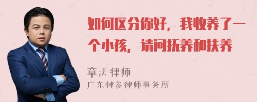 如何区分你好，我收养了一个小孩，请问抚养和扶养