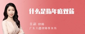 什么是指年底双薪