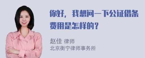 你好，我想问一下公证借条费用是怎样的？