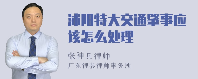 沭阳特大交通肇事应该怎么处理