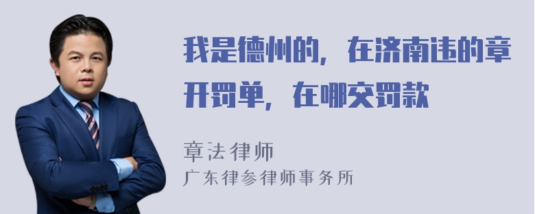 我是德州的，在济南违的章开罚单，在哪交罚款