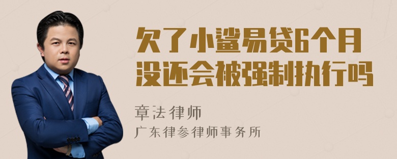 欠了小鲨易贷6个月没还会被强制执行吗