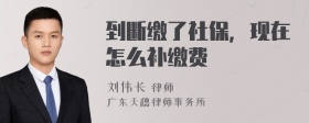 到断缴了社保，现在怎么补缴费