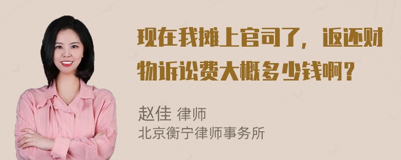 现在我摊上官司了，返还财物诉讼费大概多少钱啊？