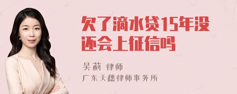 欠了滴水贷15年没还会上征信吗