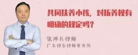 共同扶养小孩，对抚养权有明确的规定吗？