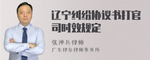 辽宁纠纷协议书打官司时效规定