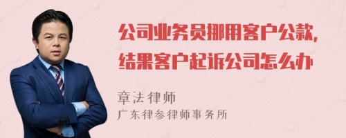 公司业务员挪用客户公款，结果客户起诉公司怎么办