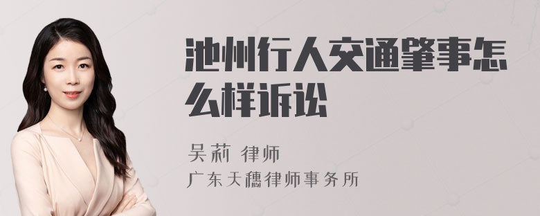 池州行人交通肇事怎么样诉讼