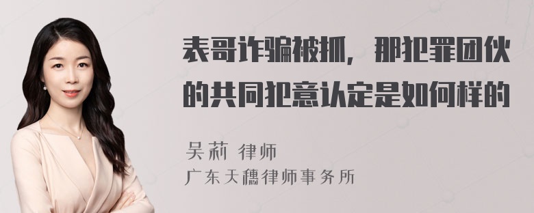 表哥诈骗被抓，那犯罪团伙的共同犯意认定是如何样的