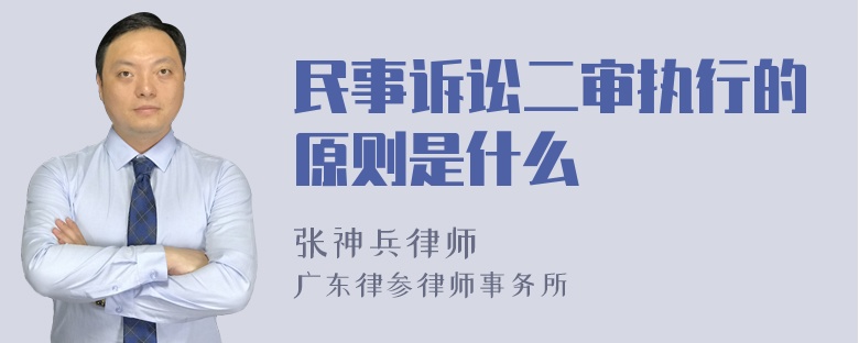 民事诉讼二审执行的原则是什么