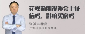 花呗逾期没还会上征信吗，影响买房吗