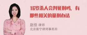 16岁杀人会判死刑吗，有那些相关的量刑办法