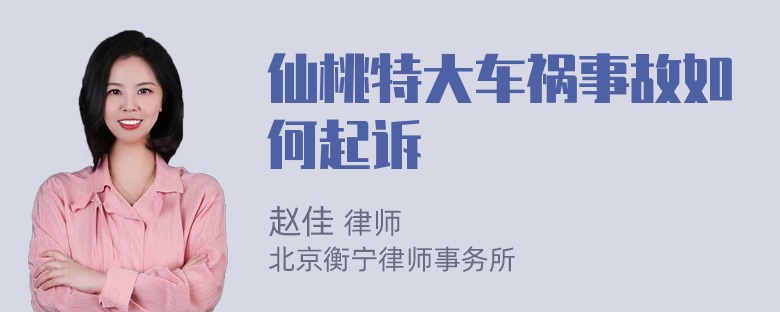 仙桃特大车祸事故如何起诉