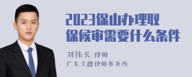 2023保山办理取保候审需要什么条件