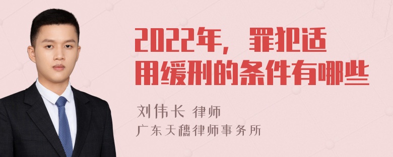 2022年，罪犯适用缓刑的条件有哪些