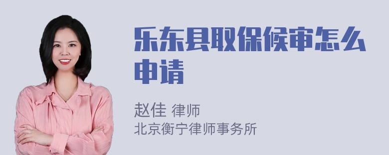 乐东县取保候审怎么申请