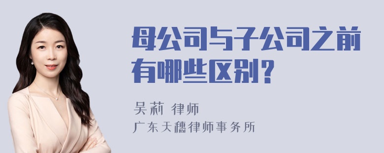 母公司与子公司之前有哪些区别？