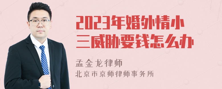 2023年婚外情小三威胁要钱怎么办