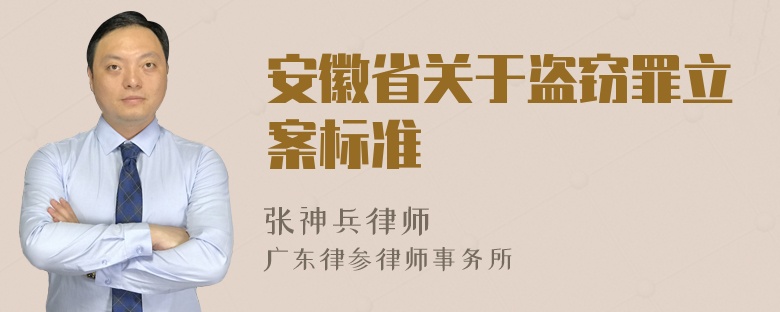 安徽省关于盗窃罪立案标准