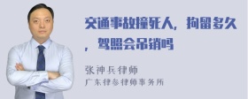 交通事故撞死人，拘留多久，驾照会吊销吗