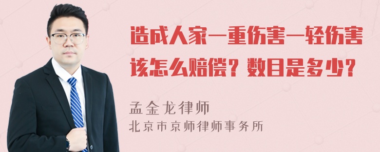 造成人家一重伤害一轻伤害该怎么赔偿？数目是多少？