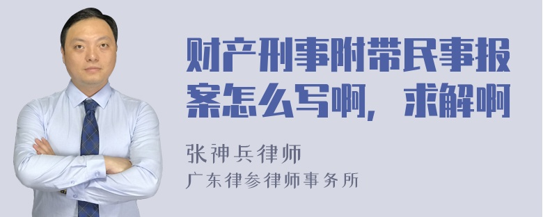 财产刑事附带民事报案怎么写啊，求解啊