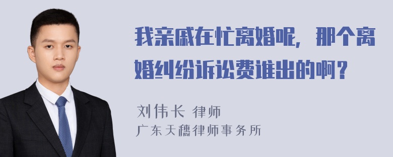 我亲戚在忙离婚呢，那个离婚纠纷诉讼费谁出的啊？