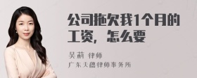 公司拖欠我1个月的工资，怎么要