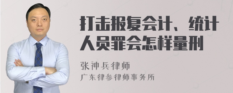 打击报复会计、统计人员罪会怎样量刑