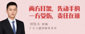 两方打架，先动手的一方受伤，责任在谁