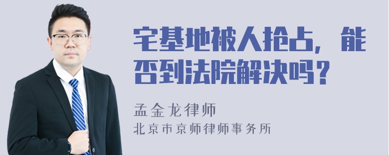 宅基地被人抢占，能否到法院解决吗？