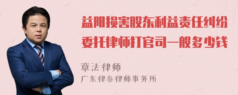 益阳损害股东利益责任纠纷委托律师打官司一般多少钱