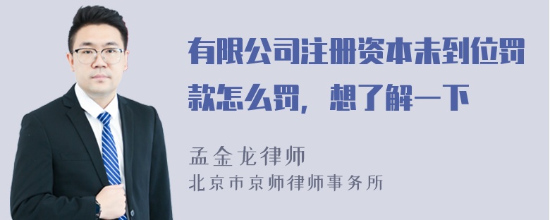 有限公司注册资本未到位罚款怎么罚，想了解一下